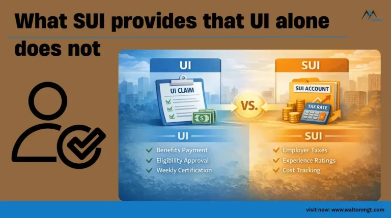What-SUI-provides-that-UI-alone-does-not