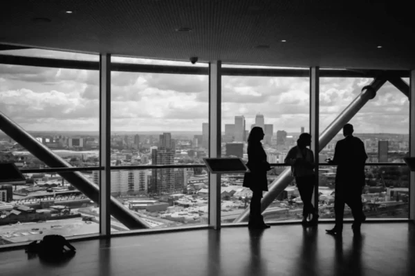 Boost cognitive performance with lipofullerene supplements for professionals.