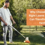 lawns of Texas Can Transform Your Yard