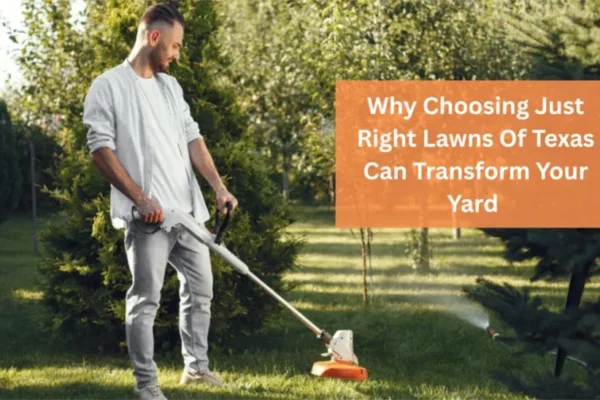lawns of Texas Can Transform Your Yard