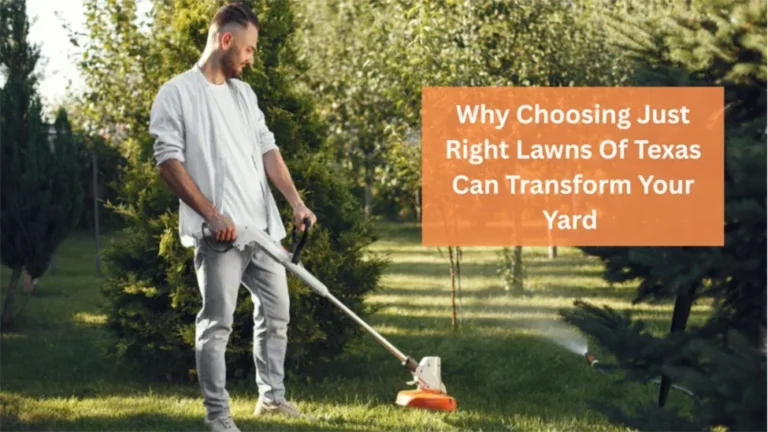 lawns of Texas Can Transform Your Yard