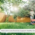 Lawn Care Practices Support Healthy Grass