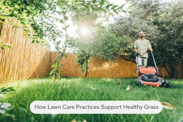 Lawn Care Practices Support Healthy Grass