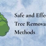 Safe and Effective Tree Removal Methods