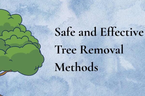 Safe and Effective Tree Removal Methods