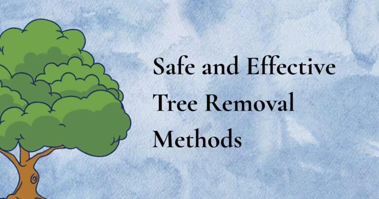 Safe and Effective Tree Removal Methods