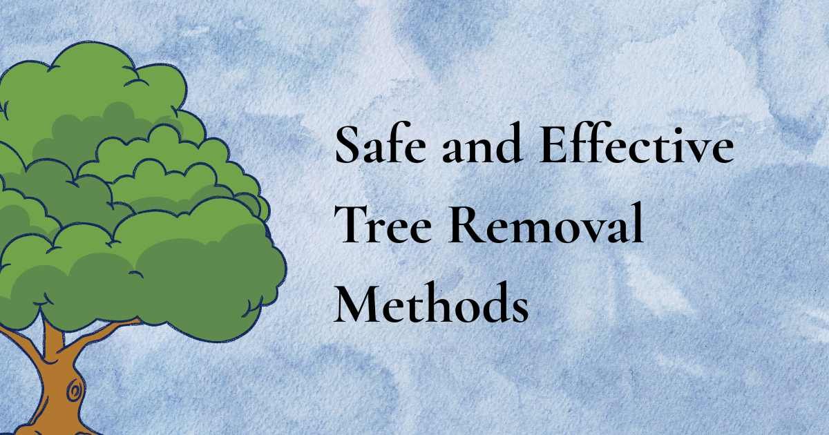 Safe and Effective Tree Removal Methods