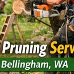 Tree Pruning Services in Bellingham, WA