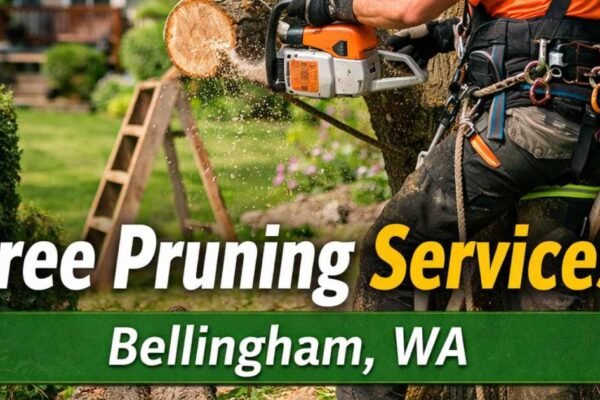 Tree Pruning Services in Bellingham, WA