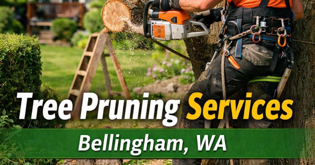 Tree Pruning Services in Bellingham, WA