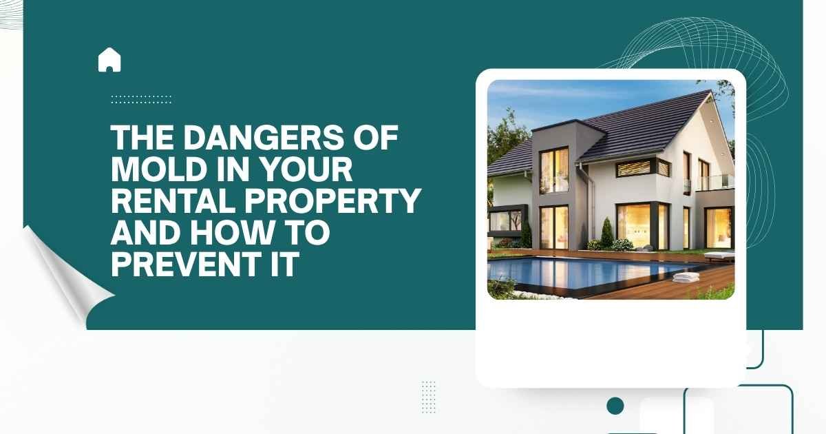 The Dangers of Mold in Your Rental Property and How to Prevent It