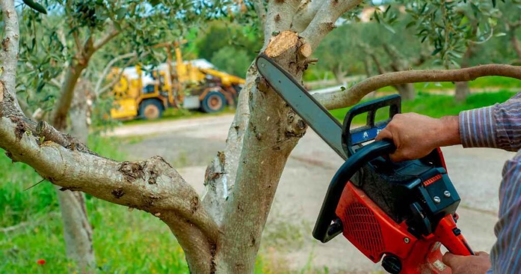 10 Tree Service Companies in Waterford, MI