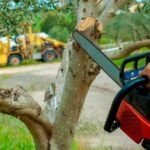 10 Tree Service Companies in Waterford, MI