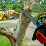 10 Tree Service Companies in Waterford, MI