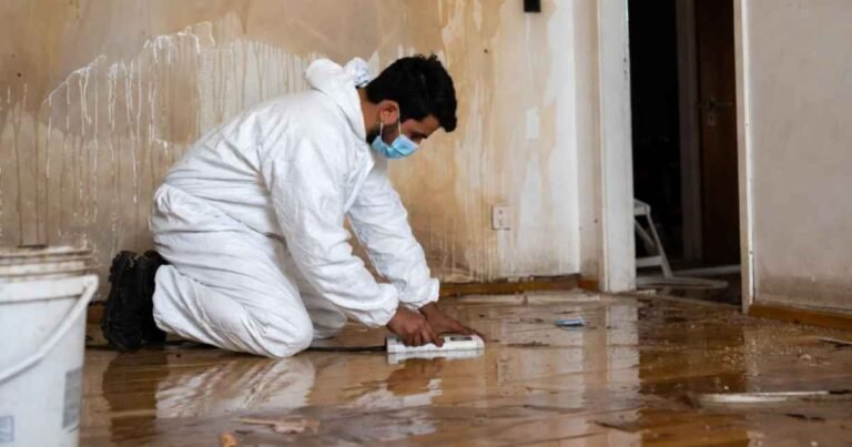 Water Damage Restoration Protecting Your Home from Costly and Health-Threatening Damage