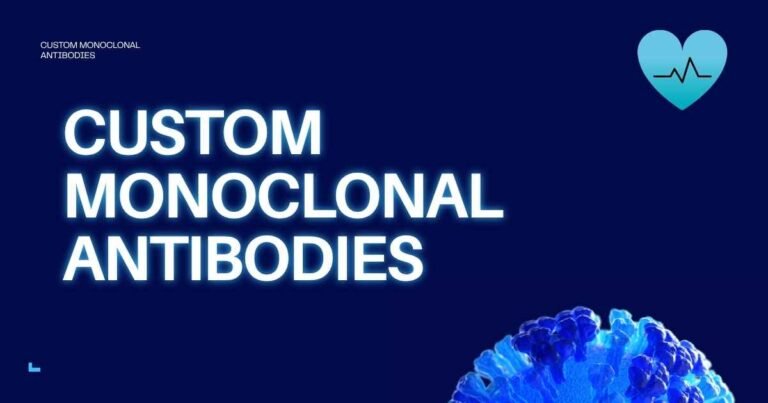 Why Custom Monoclonal Antibodies Remain Essential for Modern Biomedical Research