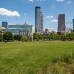 Atlanta Lawns