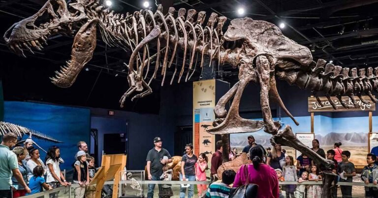 Best Educational Family Attractions in Orlando for 2026