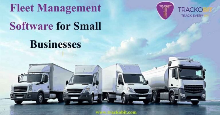 Fleet Management Software
