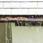 Gutter Cleaning in Spokane, WA