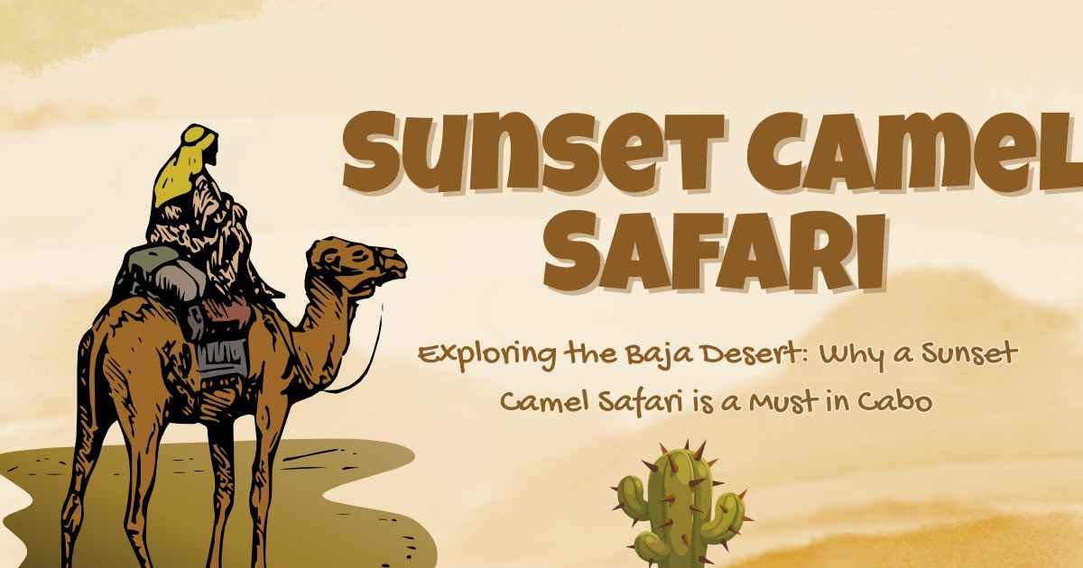 Sunset Camel Safari