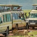 Tanzania Safaris and Climbing Kilimanjaro