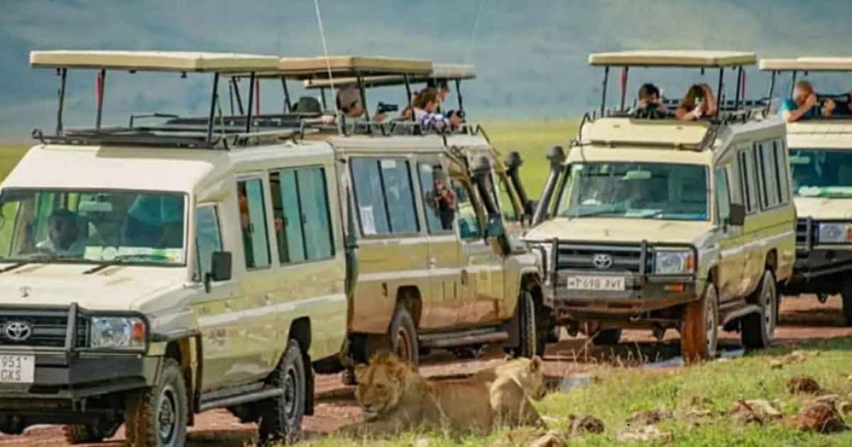 Tanzania Safaris and Climbing Kilimanjaro