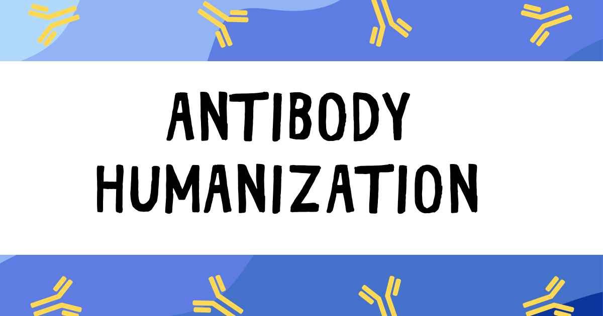 Antibody Humanization