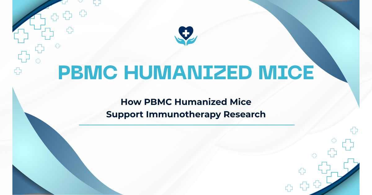 PBMC Humanized Mice
