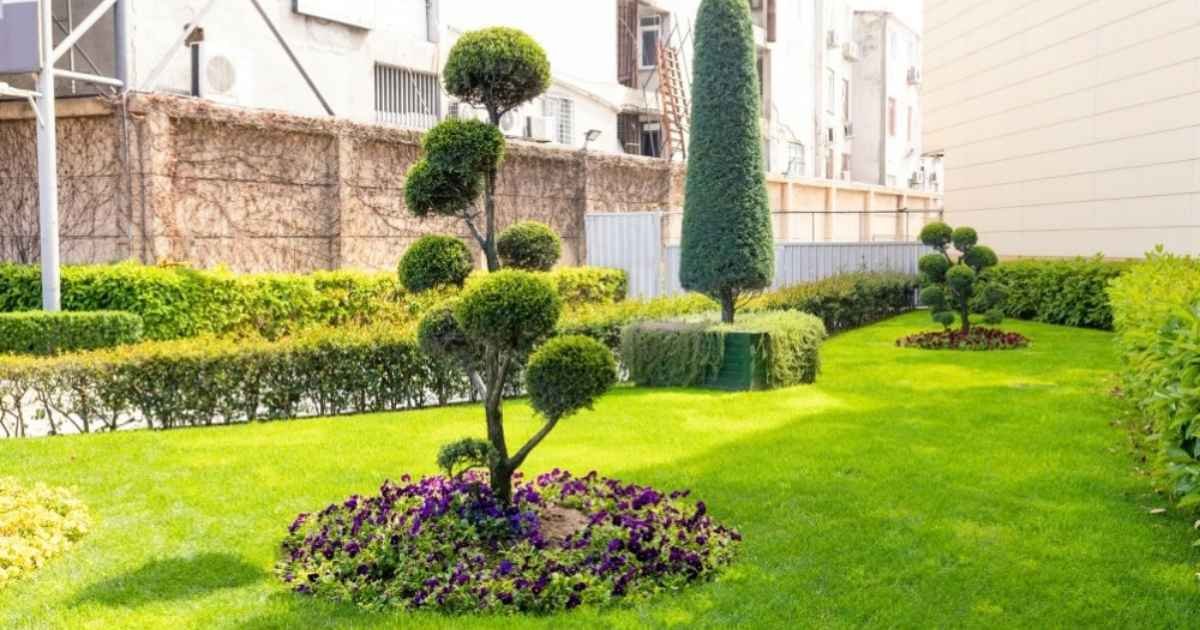 Landscaping Jobs That Need Council Approval