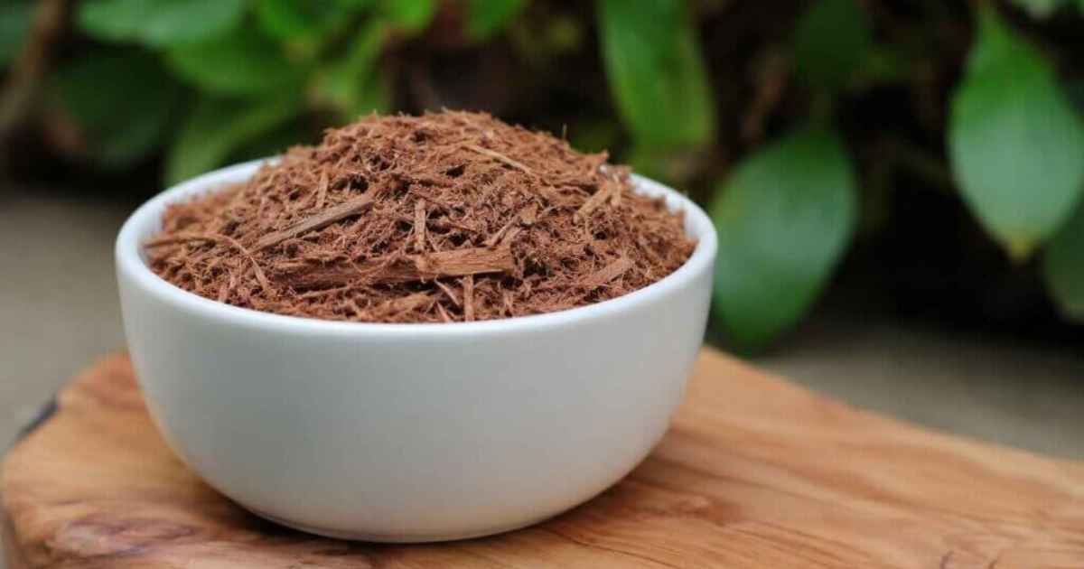 Mimosa Tenuiflora Root Bark