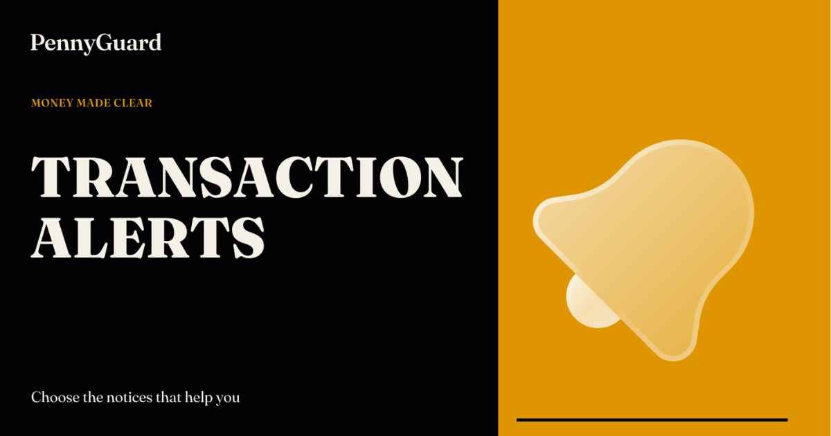 transaction alerts